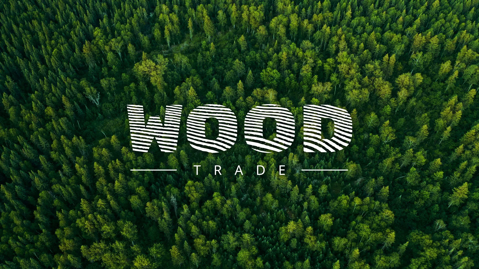 Разработка интернет-магазина компании «Wood Trade» в Черноголовке