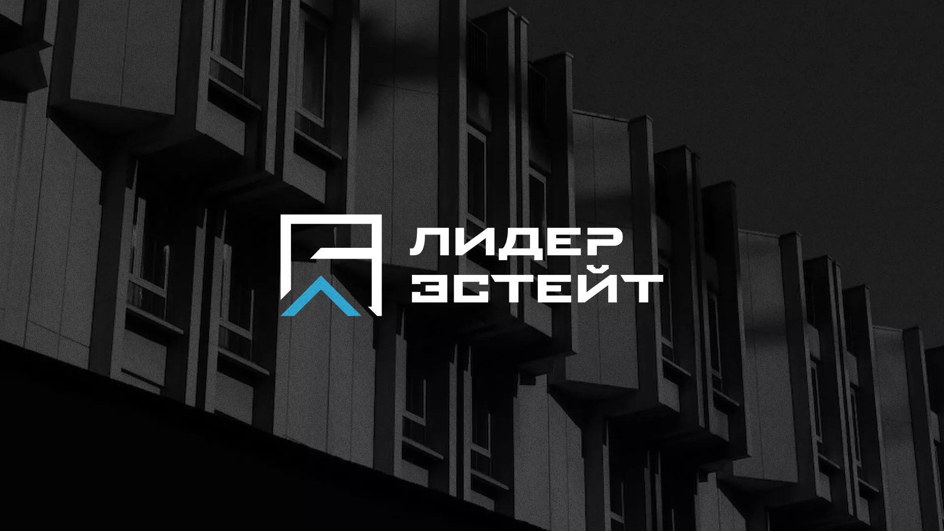 Разработка логотипа агентства недвижимости «Лидер Эстейт» в Черноголовке