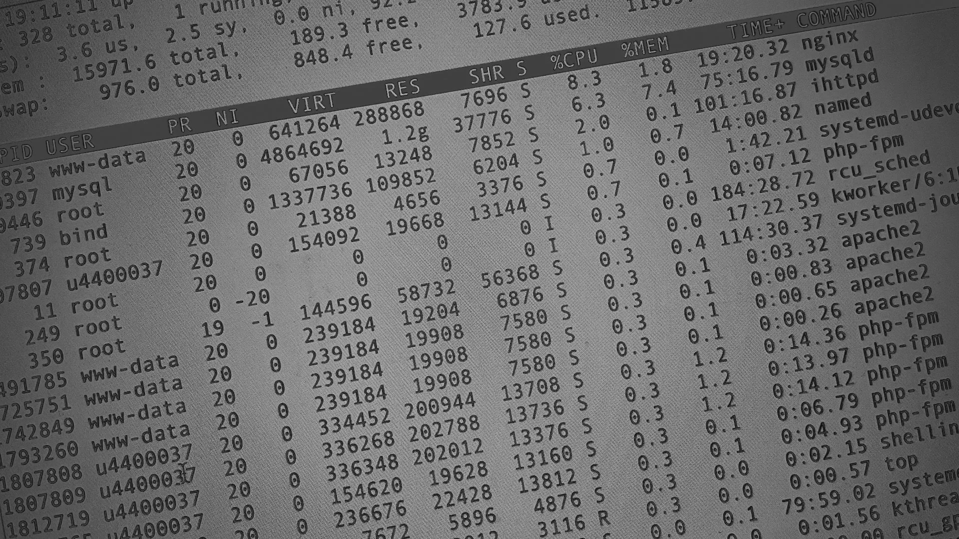 Настройка сервера в Черноголовке