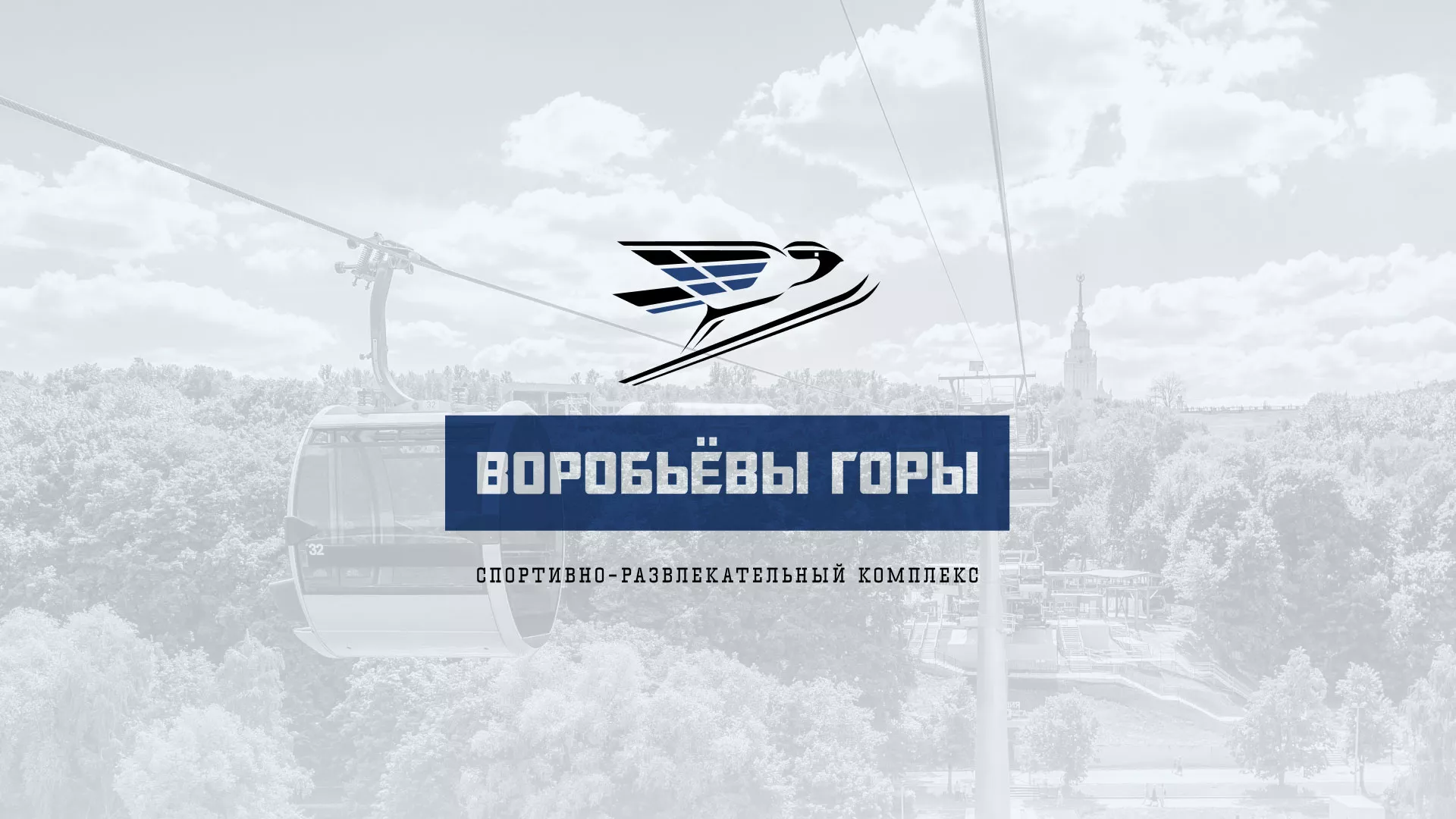 Разработка сайта в Черноголовке для спортивно-развлекательного комплекса «Воробьёвы горы»