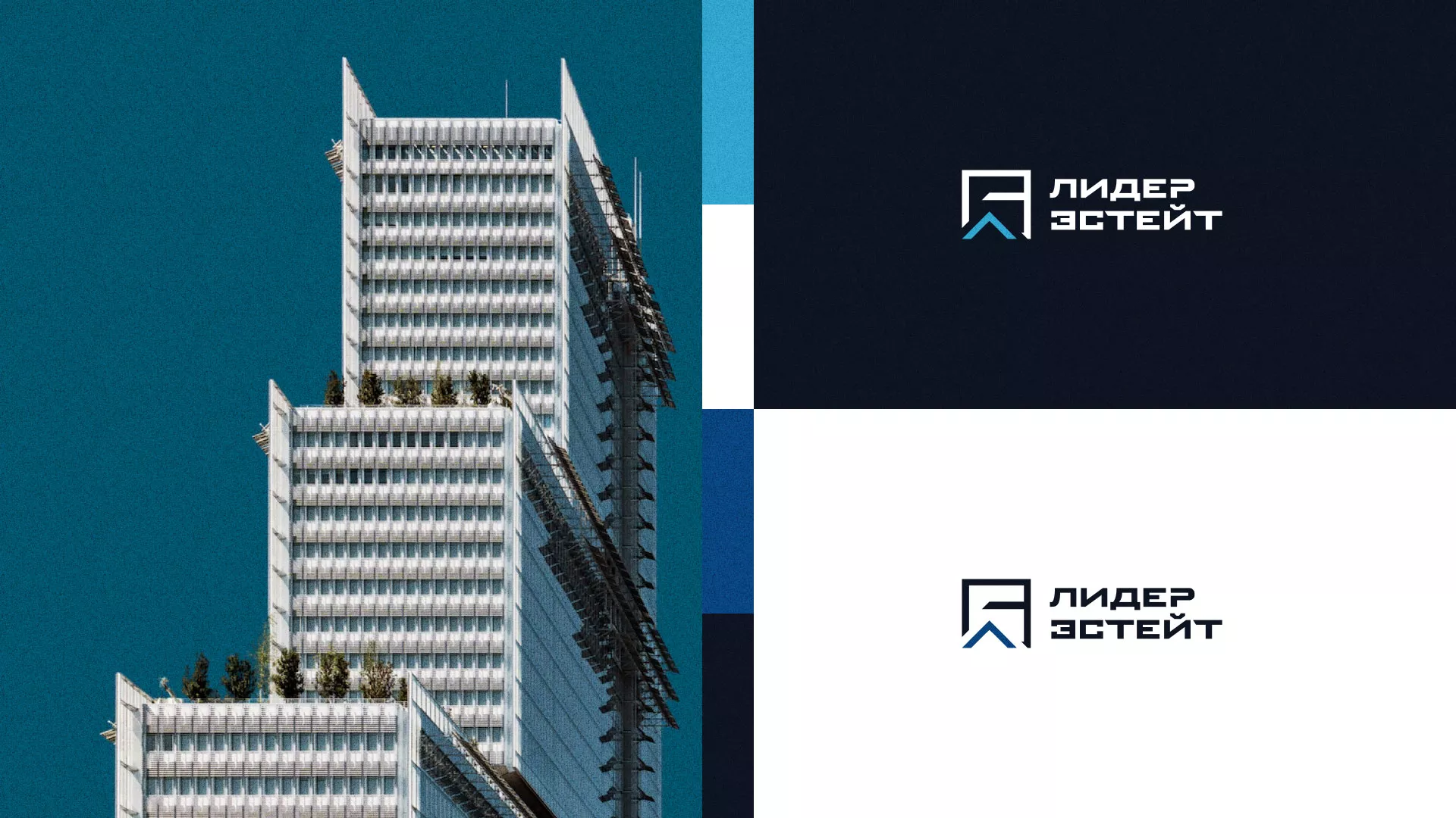 Разработка логотипа агентства недвижимости «Лидер Эстейт» в Черноголовке